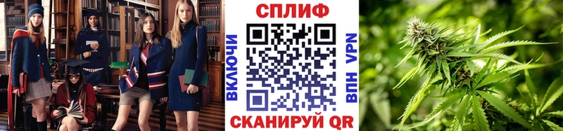 A-PVP Данилов
