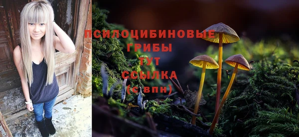 гидропоника Ладушкин