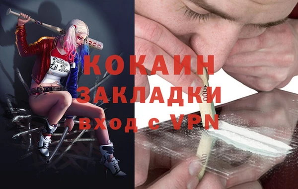 гидропоника Ладушкин
