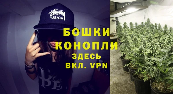 гидропоника Ладушкин