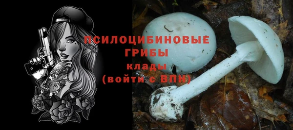 гидропоника Ладушкин