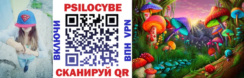 кракен онион  Данилов  Псилоцибиновые грибы Psilocybe 